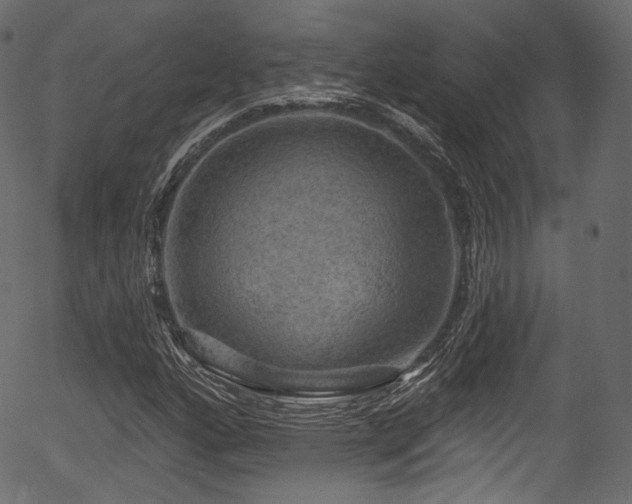 X0000056351160200508291314