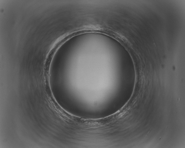 X0000056351168200508291314