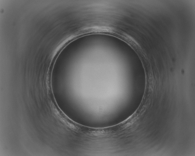 X0000056351182200508291314