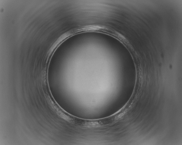 X0000056351186200508291314