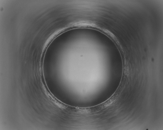 X0000056351191200508291314