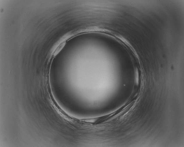 X0000056351197200508291314