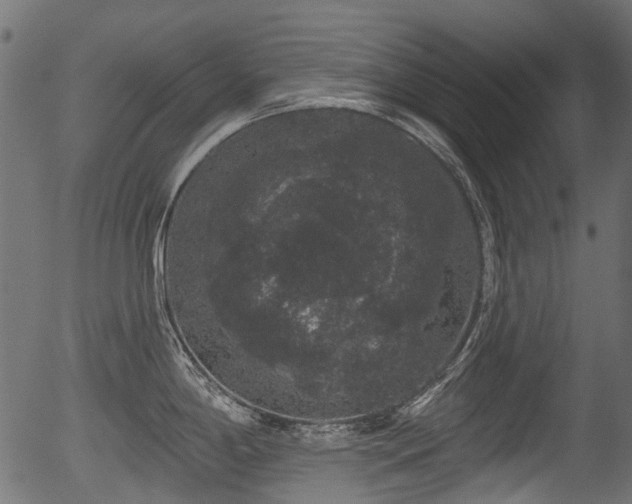 X0000056351198200508291314
