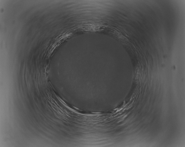X0000056351202200508291313