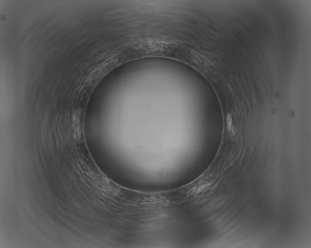X0000056351203200508291313