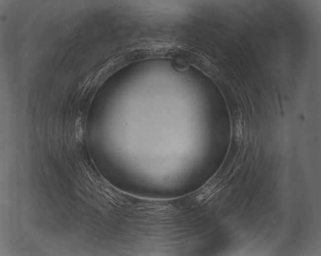 X0000056351204200508291313