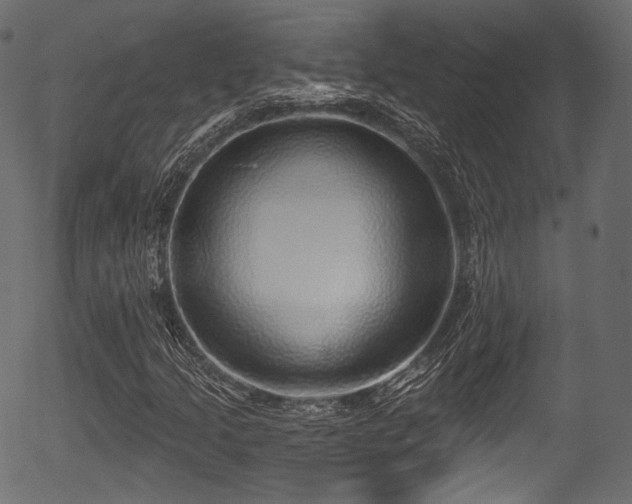 X0000056351205200508291313