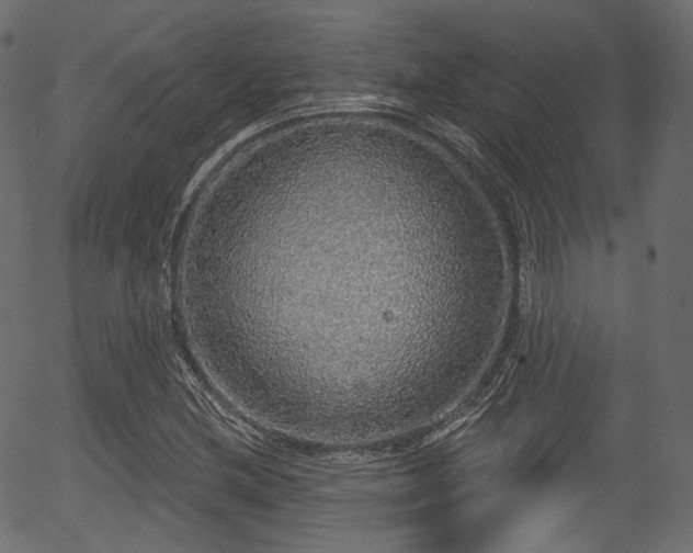 X0000056351212200508291313
