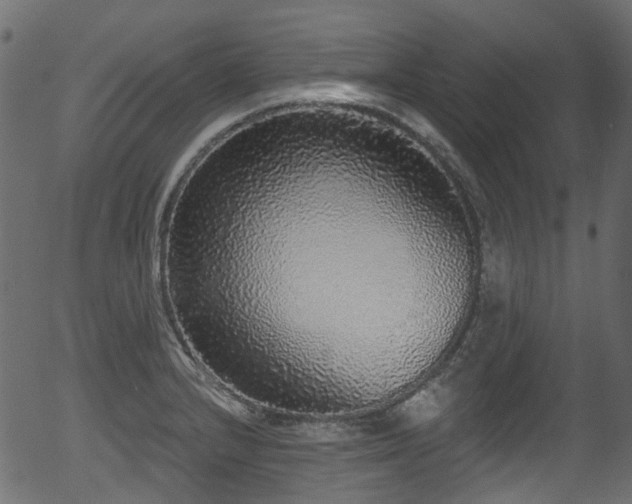 X0000056351232200508291313