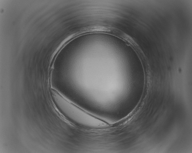 X0000056351236200508291313