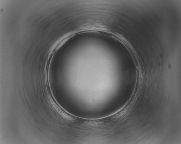 X0000056351246200508291314