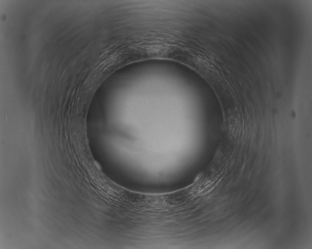 X0000056351249200508291313