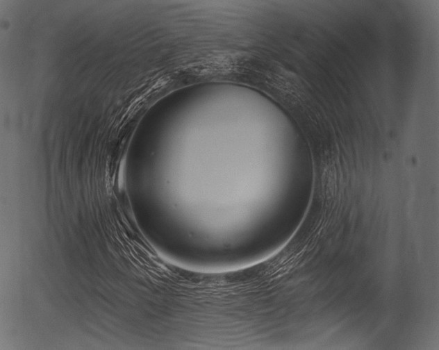 X0000056351250200508291313