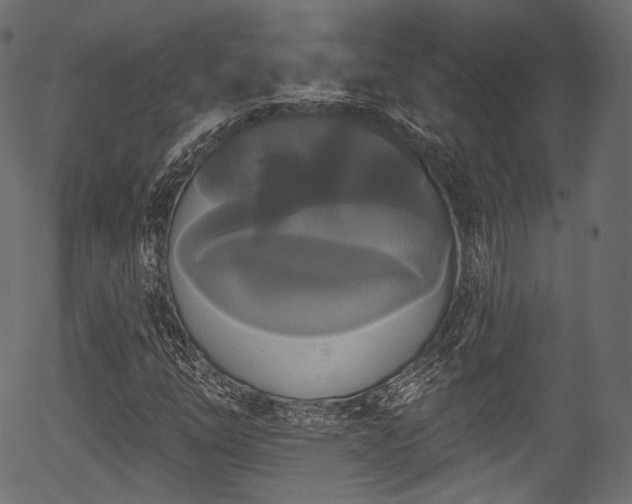 X0000056351254200508291313