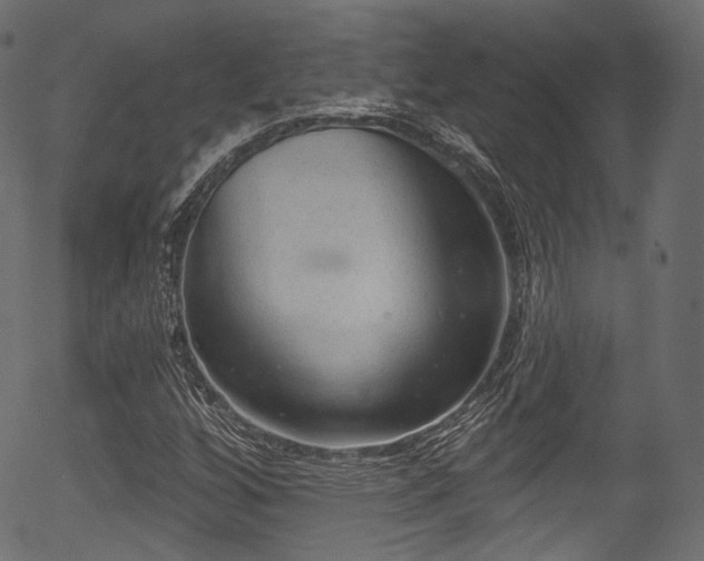 X0000056351256200508291313