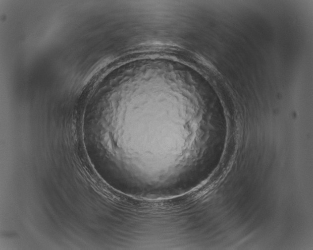 X0000056351259200508291313