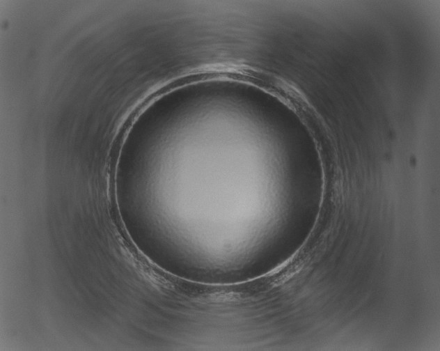 X0000056351268200508291313