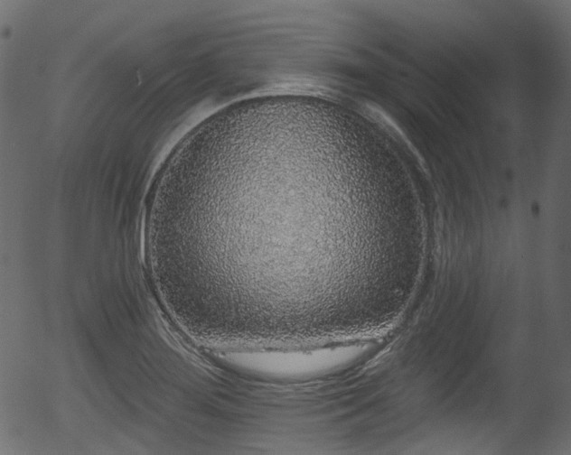 X0000056351276200508291312