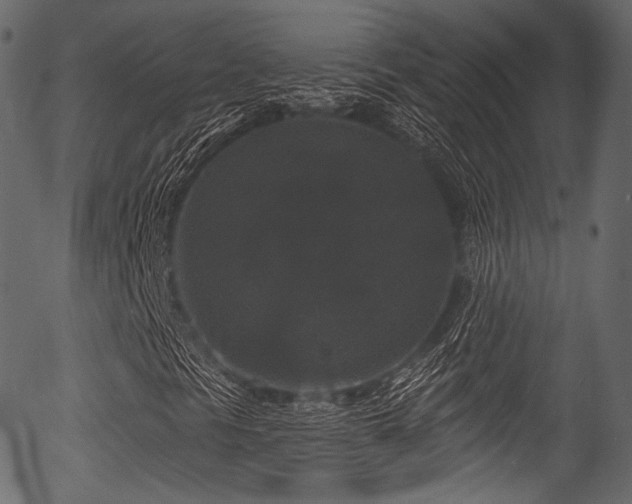 X0000056351297200508291311