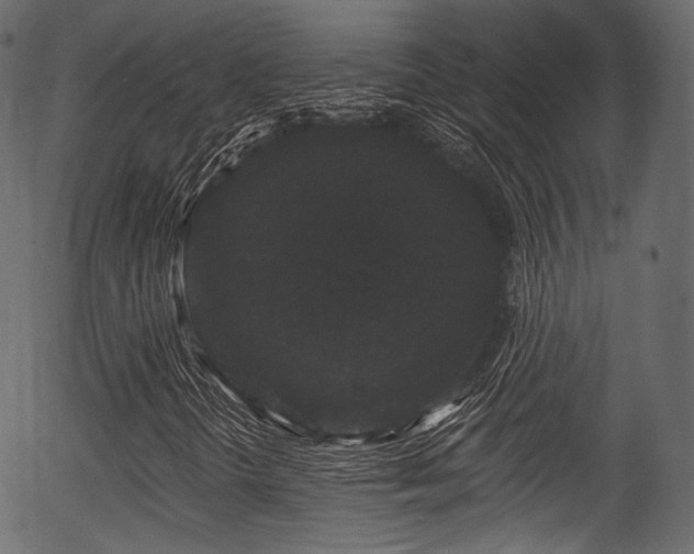 X0000056351298200508291311