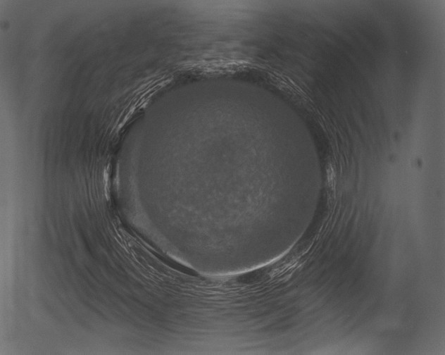 X0000056351300200508291311