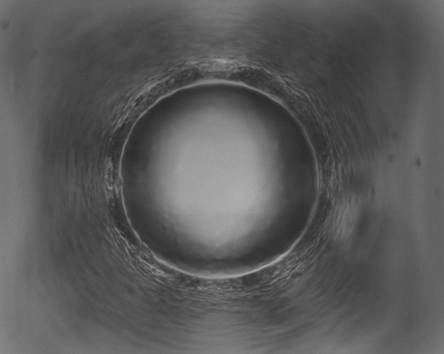 X0000056351301200508291311