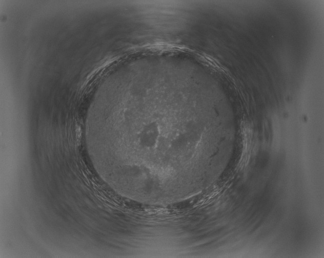 X0000056351302200508291311