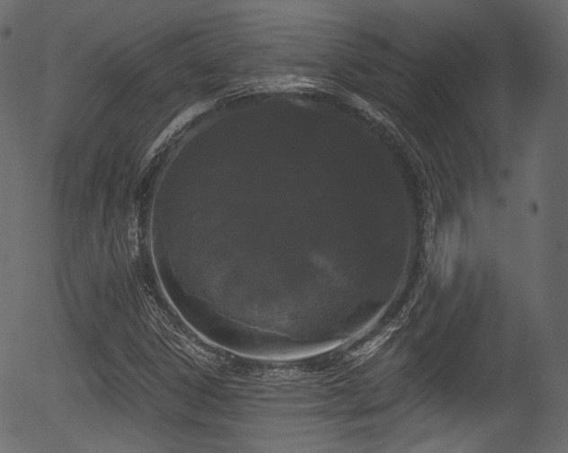 X0000056351306200508291311