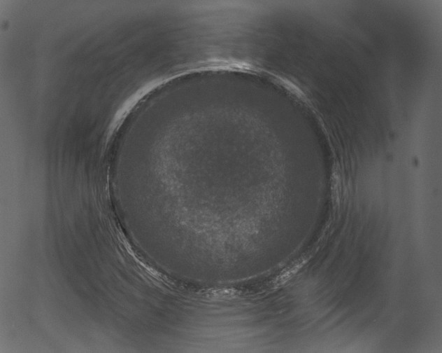 X0000056351310200508291311