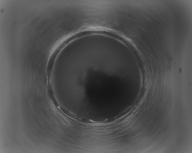 X0000056351319200508291312