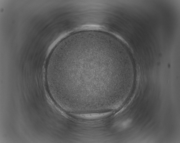 X0000056351325200508291312
