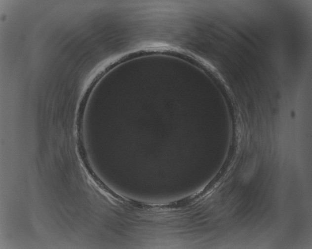 X0000056351327200508291312