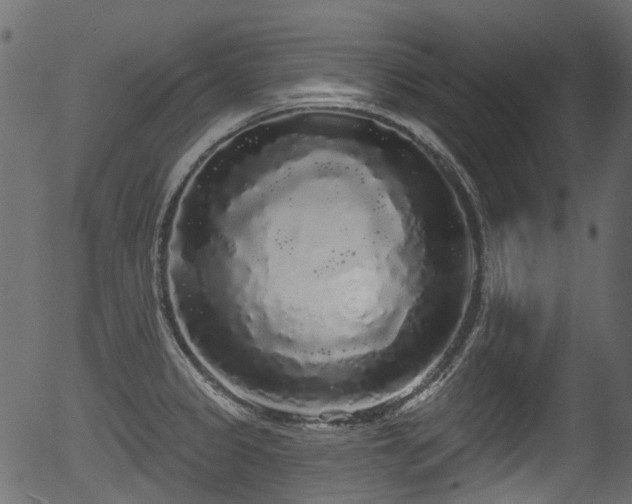 X0000056351333200508291312