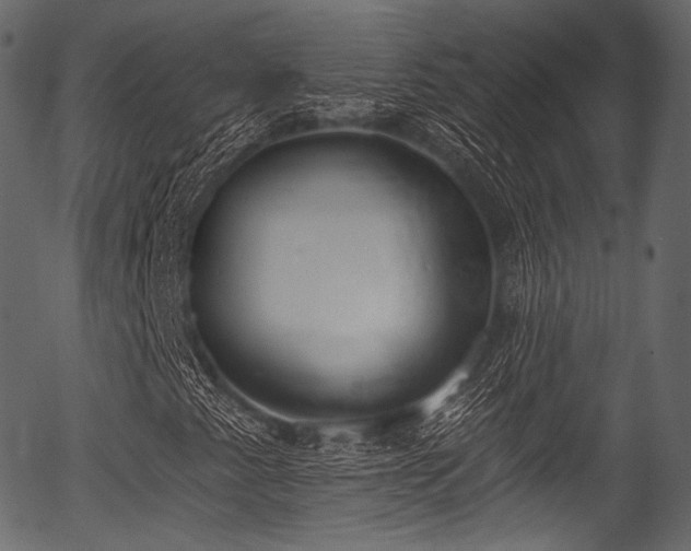 X0000056351345200508291311