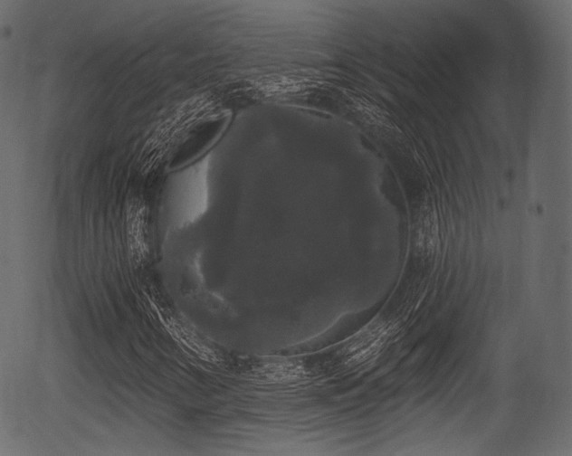 X0000056351346200508291311