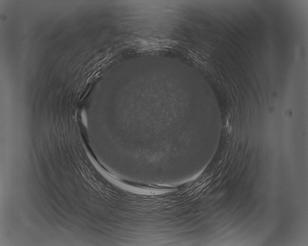 X0000056351348200508291311
