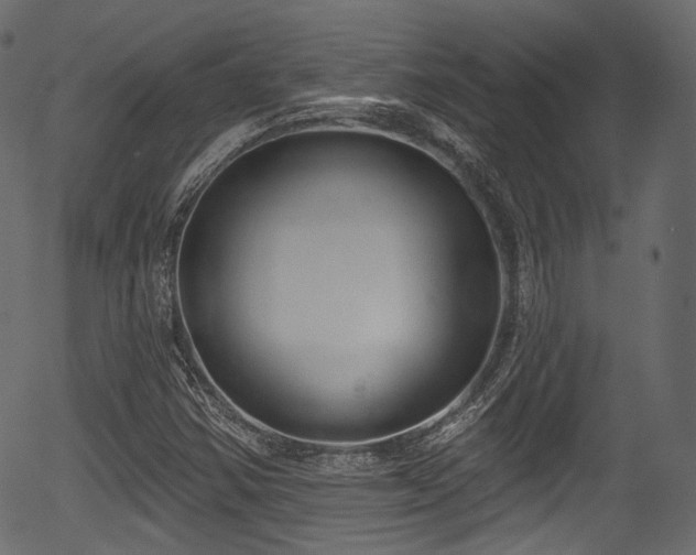 X0000056351354200508291311
