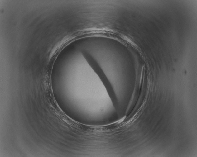 X0000056351357200508291311