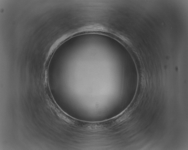 X0000056351366200508291311