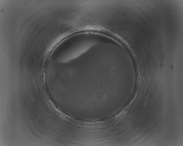 X0000056351367200508291311