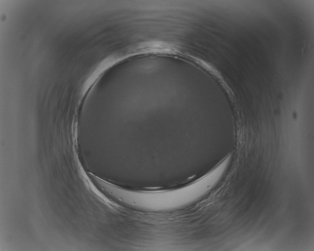 X0000056351383200508291311
