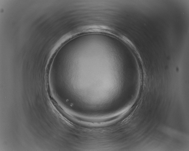 X0000056351384200508291311