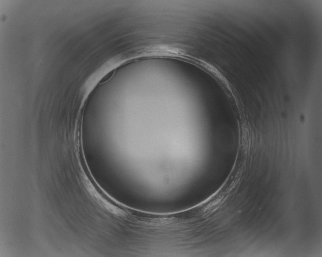 X0000056351387200508291310
