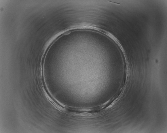 X0000056351388200508291310