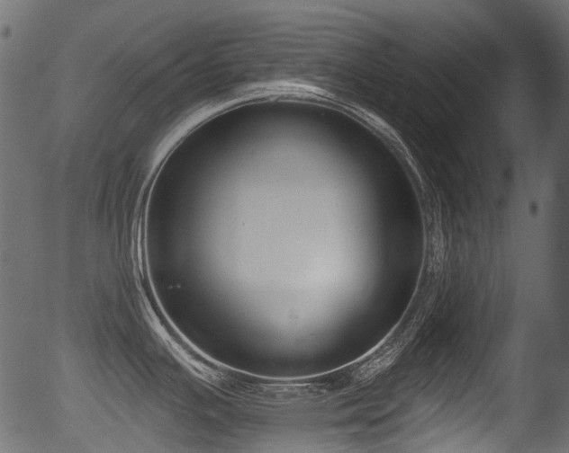X0000056351391200508291310