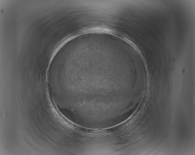 X0000056351392200508291310