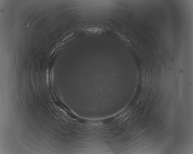 X0000056351394200508291310