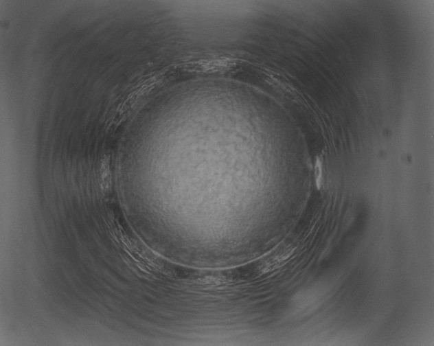 X0000056351395200508291310