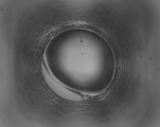 X0000056351398200508291310