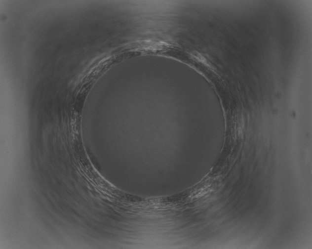 X0000056351399200508291310
